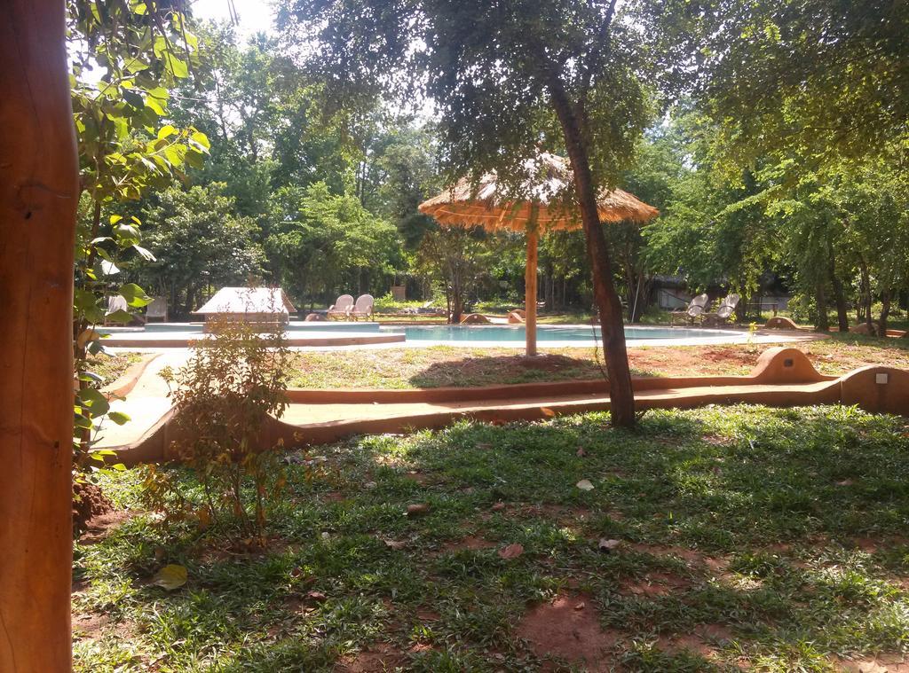 סיגירייה Kuwera Eco Lodge מראה חיצוני תמונה