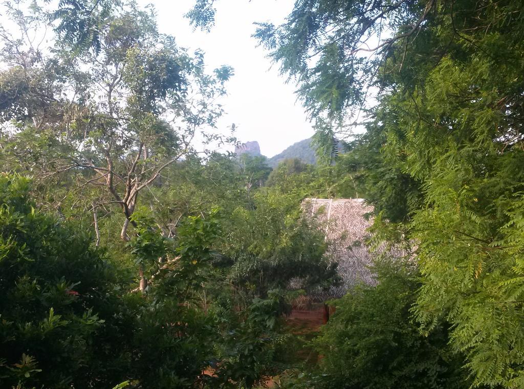 סיגירייה Kuwera Eco Lodge מראה חיצוני תמונה
