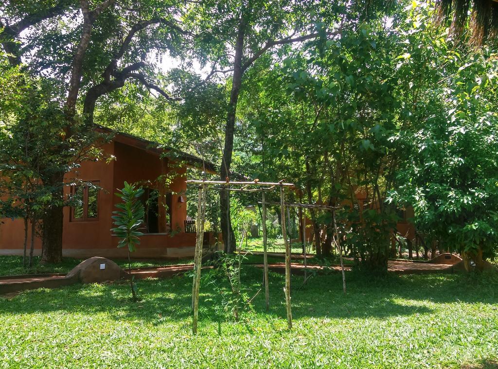 סיגירייה Kuwera Eco Lodge מראה חיצוני תמונה