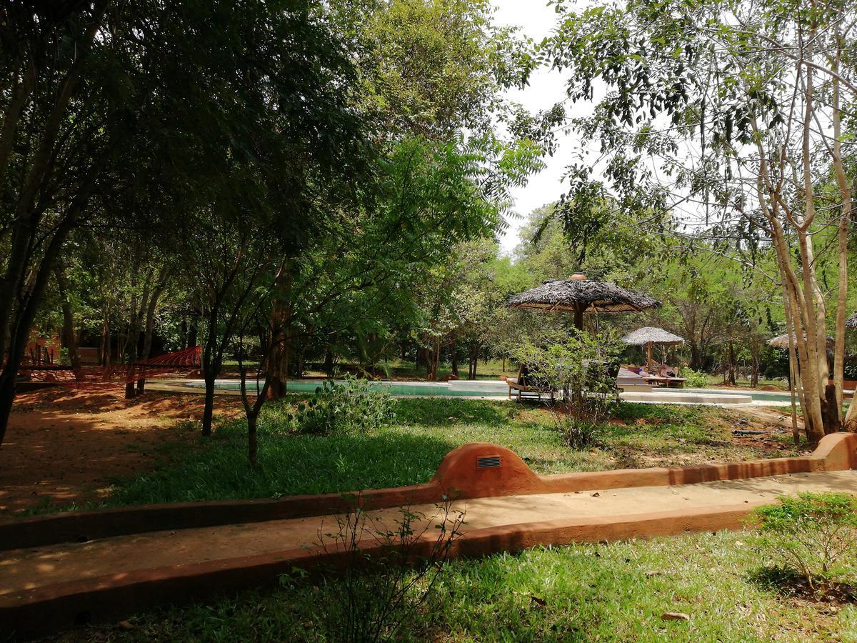 סיגירייה Kuwera Eco Lodge מראה חיצוני תמונה