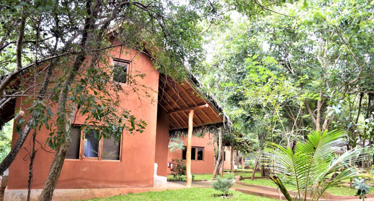 סיגירייה Kuwera Eco Lodge מראה חיצוני תמונה
