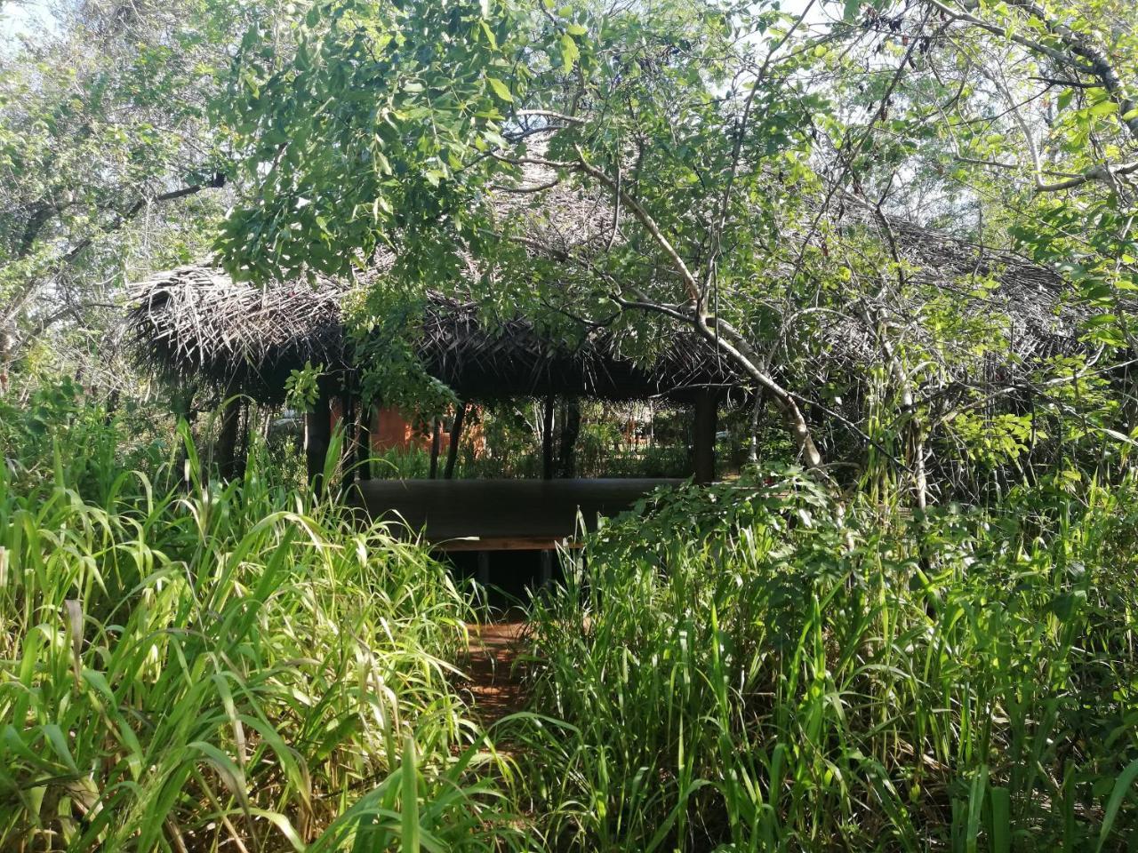 סיגירייה Kuwera Eco Lodge מראה חיצוני תמונה