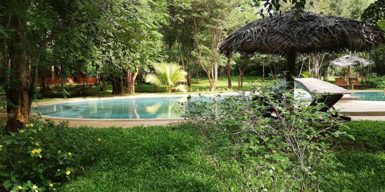 סיגירייה Kuwera Eco Lodge מראה חיצוני תמונה